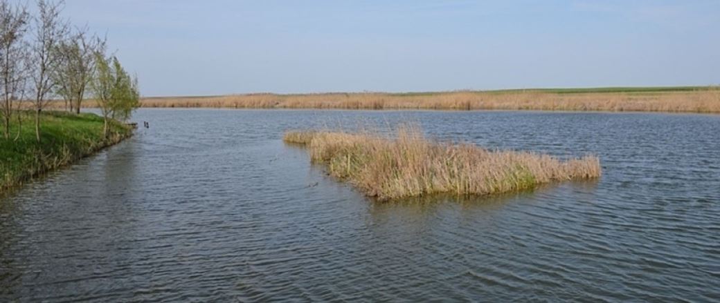 Blog Image