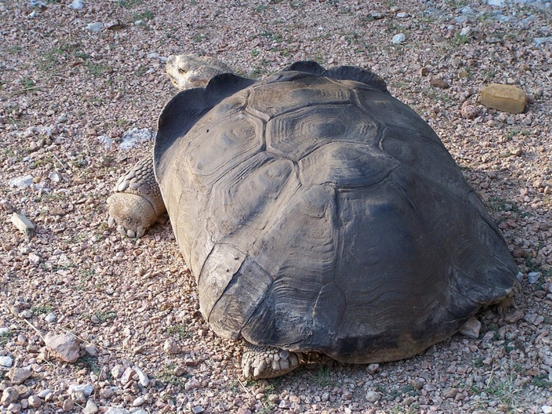 Blog Image
