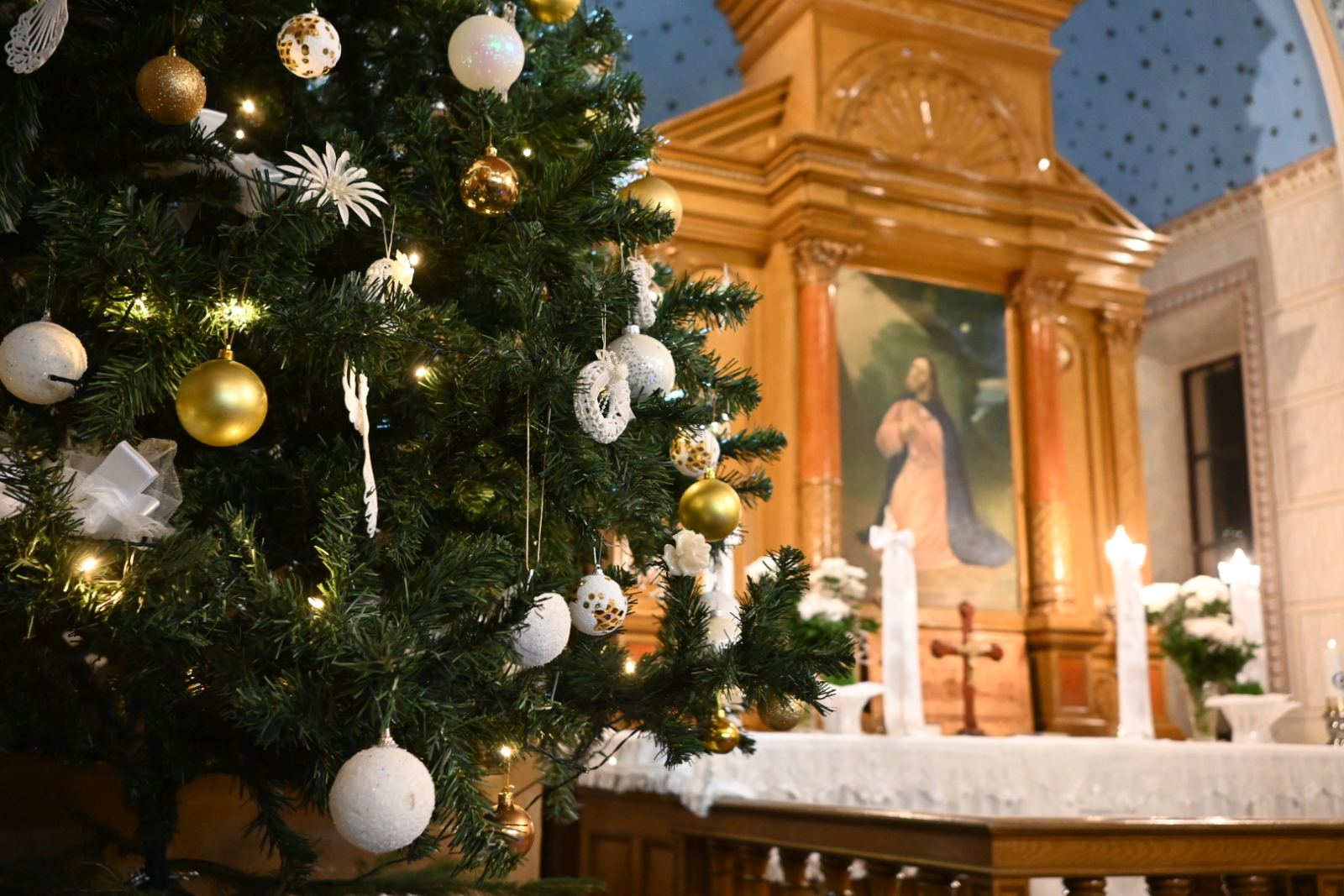 Blog Image