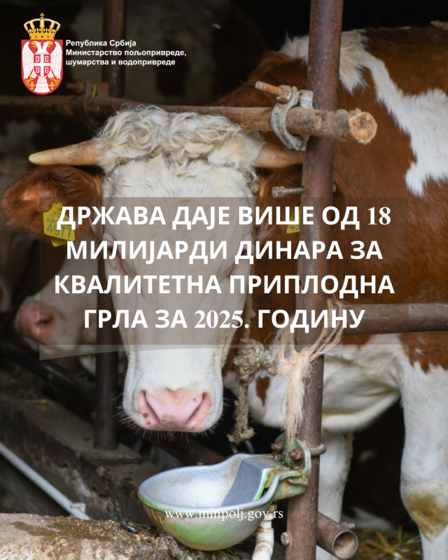 blog img