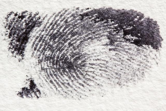 blog image